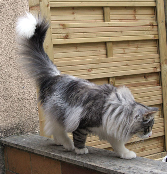 calife - mars 2008 - jardin 2.jpg