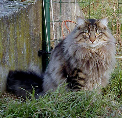 Terek - fevrier 2006.jpg - OLYMPUS DIGITAL CAMERA