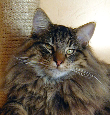 Terek - janvier 2006 - portrait.jpg - OLYMPUS DIGITAL CAMERA