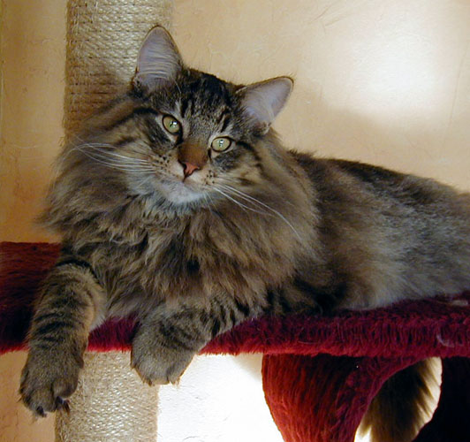 Terek - janvier 2006.jpg - OLYMPUS DIGITAL CAMERA