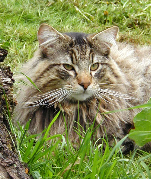 Terek - mai 2006 - ortrait.jpg - OLYMPUS DIGITAL CAMERA