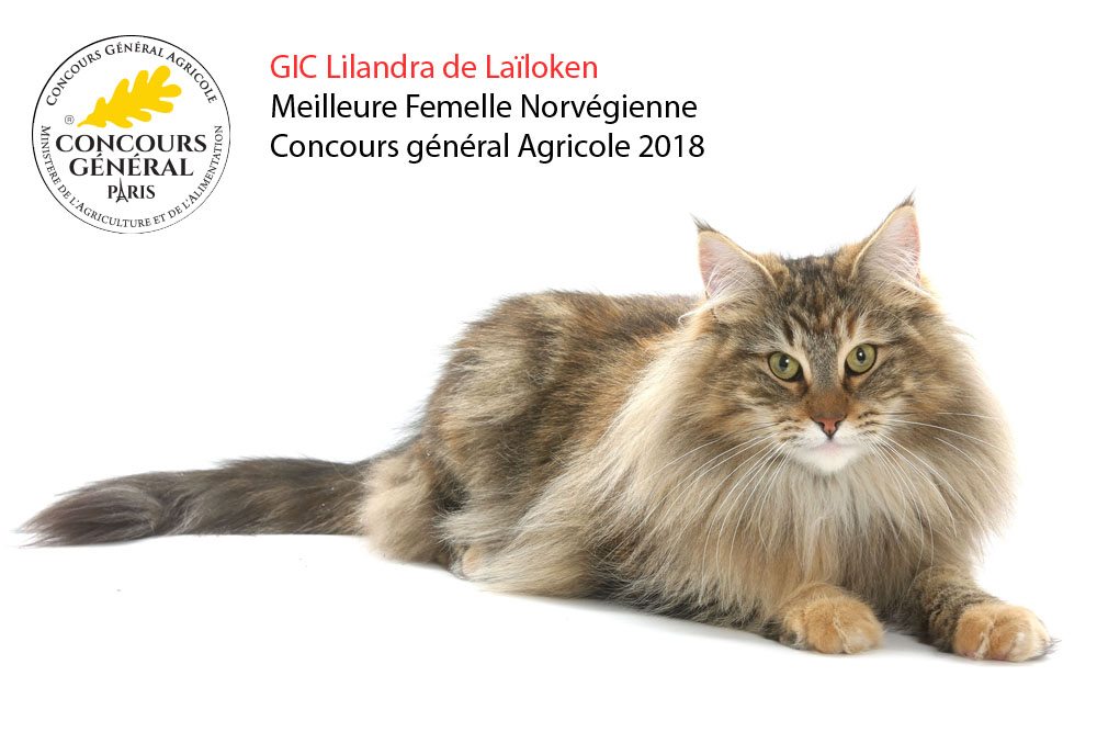 Lilandra de La�loken- Concours g�n�ral Agricole 2018