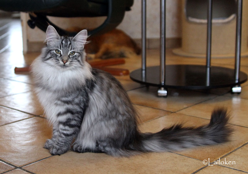 Farrell et son petit clone Rigel!